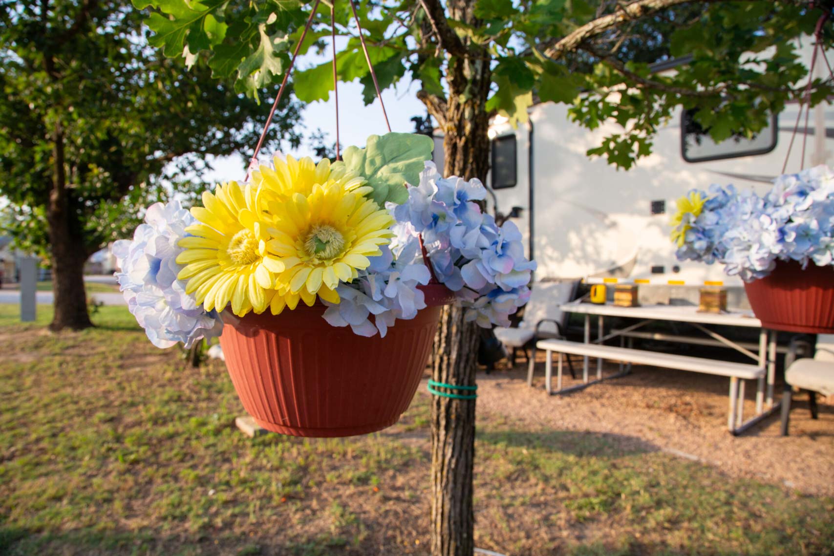Colorful flower pots hanging from a tree at a Dripping Springs RV park, with a camper in the serene backdrop