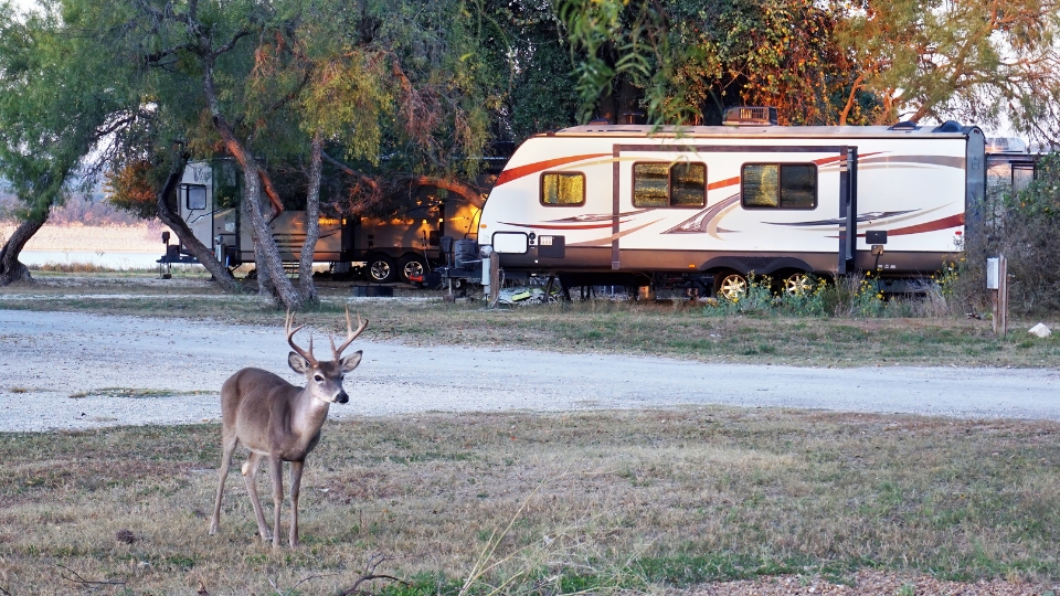 rv camping in texas