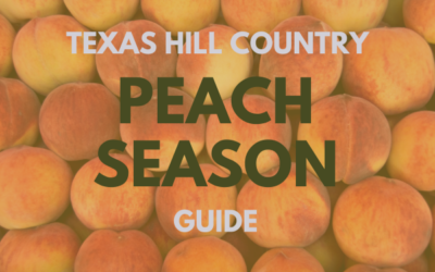 Texas Hill Country Peach Season Guide