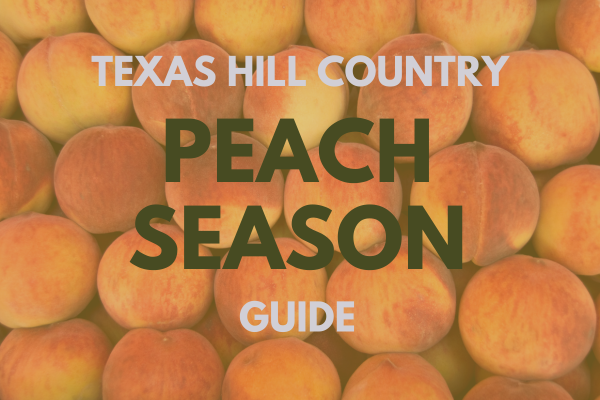 Texas Hill Country Peach Season Guide