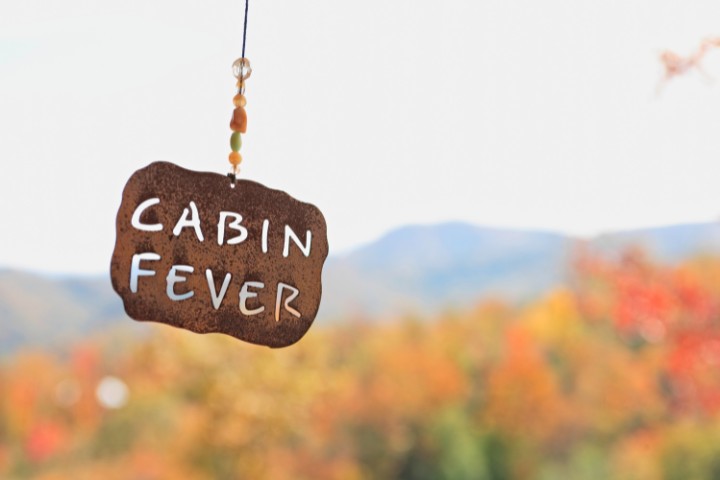 cabin fever sign with trees at the background