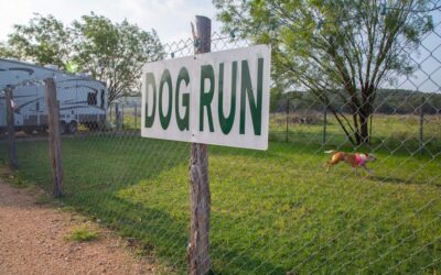 How to Choose the Right Pet-Friendly RV Park