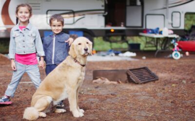 Top Picks for Pet-Friendly RV Parks Near San Antonio, Texas