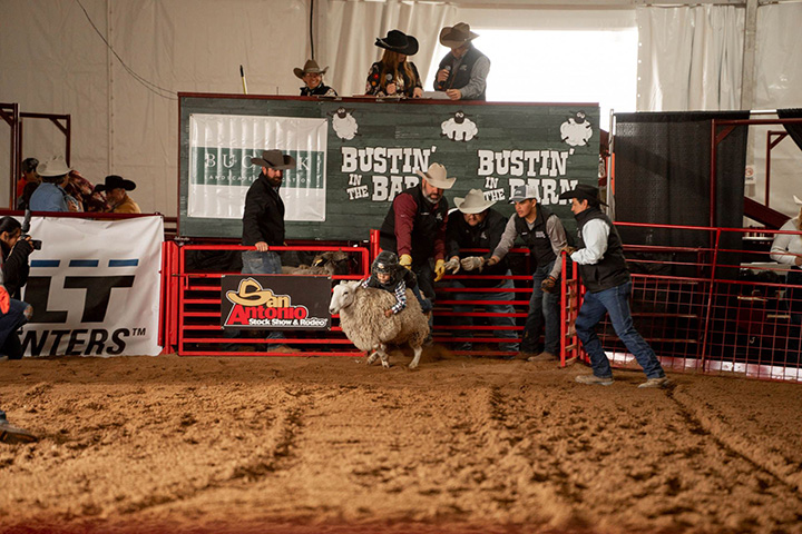 Young rider participating in a sheep-riding event at the San Antonio Stock Show and Rodeo