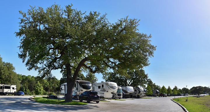 Spacious RV sites under large trees at Tillman Resort with a clear blue sky