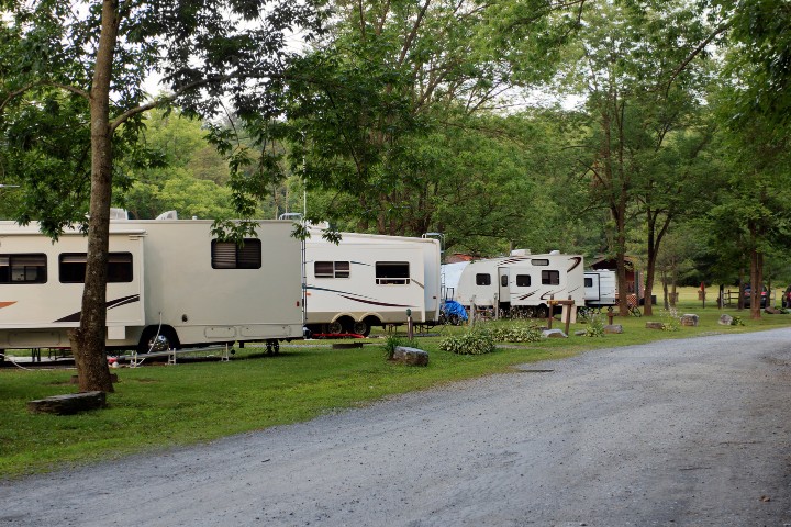 A row of RVs parked in a green, peaceful campground in Texas