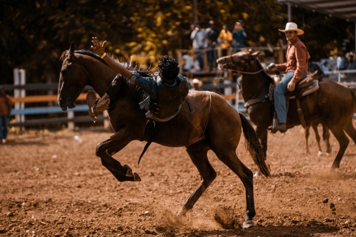 Rodeo competition with horse and rider at Texas Hill Country summer event