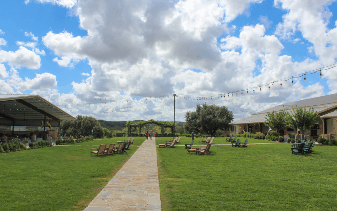 Sip Back and Relax: Top Wineries Near Miller Creek RV Park