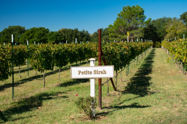 Fredericksburg vineyard tour as part of a seasonal RV camping experience