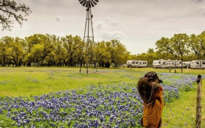 9 Best RV Parks and Campgrounds Near Dripping Springs, TX